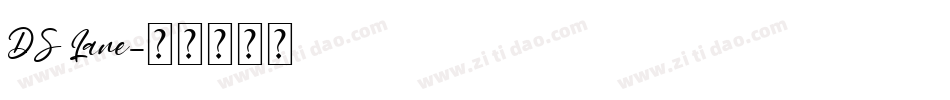 DS Lane字体转换